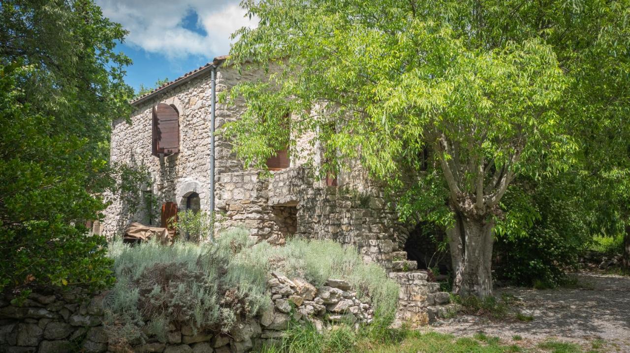 Roulottes Et Cabanes De Saint Cerice Вогюэ Экстерьер фото